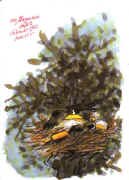 magazin02.JPG (58039 Byte)