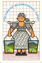 taschenkalender12.JPG (43662 Byte)